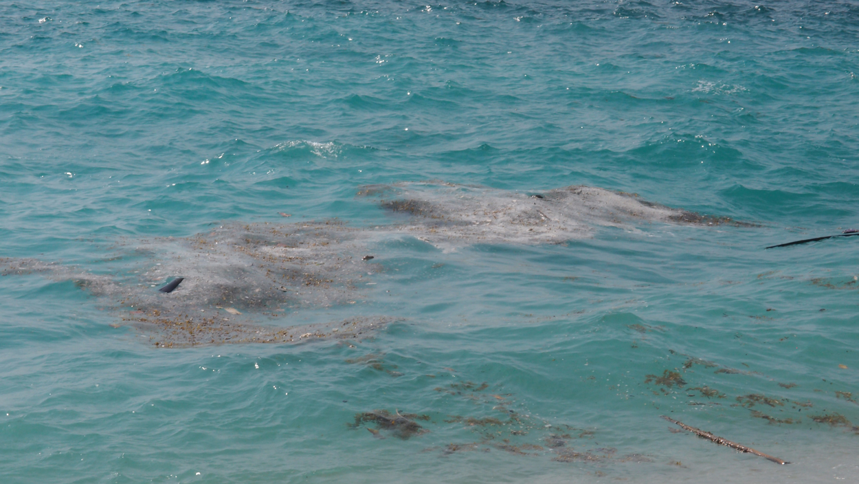 2019-12-28 10 uhr am Strand (Audio, Video)